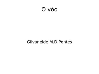 O vôo Gilvaneide M.D.Pontes 