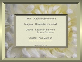 Texto: Autoria Desconhecida
Imagens: Recebidas por e-mail
Música: Leaves in the Wind
Ernesto Cortazer
Criação: Ana Maria Jr.
amg.oliveira@ig.com.br
(19.05.06) (17.10..06)
 