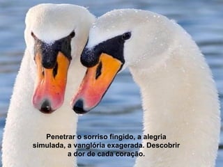 Penetrar o sorriso fingido, a alegria simulada, a vanglória exagerada. Descobrir a dor de cada coração. 