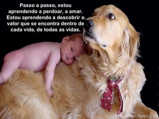 Passo a passo, estou aprendendo a perdoar, a amar. Estou aprendendo a descobrir o valor que se encontra dentro de cada vida, de todas as vidas. 