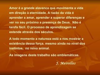 Amor é a grande alavanca que movimenta a vida em direção à eternidade. A razão da vida é aprender a amar, aprender a superar diferenças e ver no seu próximo a presença de Deus.  Não é tarefa fácil. O processo de aprendizagem se estende através dos séculos.  A todo momento a natureza está a nos mostrar a existência dessa força. mesmo ainda no nível dos instintos,  no reino animal.  As imagens deste trabalho são emblemáticas.  J. Meirelles 