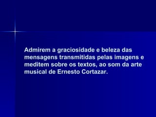 Admirem a graciosidade e beleza das mensagens transmitidas pelas imagens e meditem sobre os textos, ao som da arte musical de Ernesto Cortazar.  