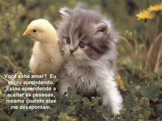 Você sabe amar?  Eu  estou aprendendo. Estou aprendendo a aceitar as pessoas, mesmo quando elas me desapontam. 