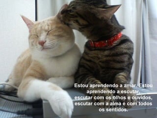 Estou aprendendo a amar. Estou aprendendo a escutar, escutar com os olhos e ouvidos, escutar com a alma e com todos os sentidos. 