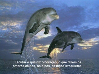 Escutar o que diz o coração, o que dizem os ombros caídos, os olhos, as mãos irrequietas.  