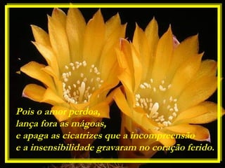 Pois o amor perdoa,
lança fora as mágoas,
e apaga as cicatrizes que a incompreensão
e a insensibilidade gravaram no coração ferido.
 