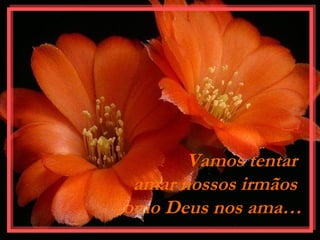 Vamos tentar
amar nossos irmãos
como Deus nos ama…
 