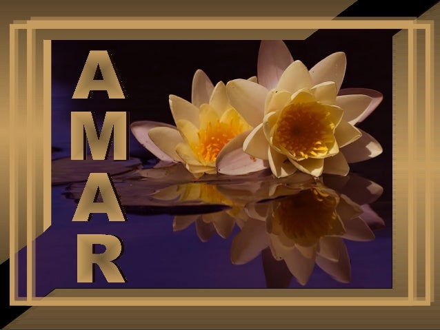 Eu estou aprendendo.
Estou aprendendo
a aceitar as pessoas,
mesmo quando elas me desapontam.
 
Você sabe amar?
 