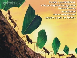 Invejei a persistência,  a força daquela formiguinha. Naturalmente,  transformei  minha reflexão em  oração e pedi ao Senhor: 