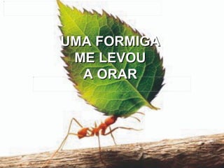 UMA FORMIGA ME LEVOU A ORAR 