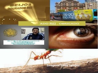 Imagens: GettyImages