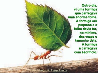 Outro dia, vi uma formiga que carregava uma enorme folha. A formiga era pequena e a folha devia ter, no mínimo, dez vezes o tamanho dela. A formigaa carregava com sacrifício.http://blogsrei.blogspot.com/