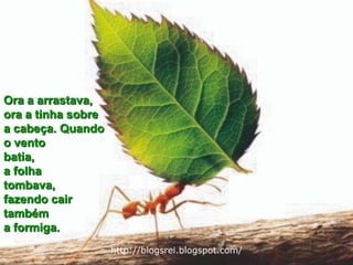 Ora a arrastava, ora a tinha sobre a cabeça. Quando o vento batia, a folha tombava, fazendo cairtambém a formiga.http://blogsrei.blogspot.com/