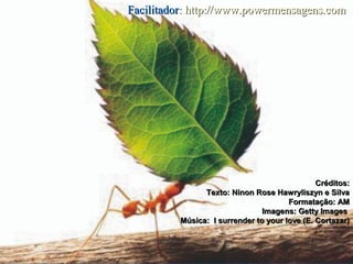 Créditos:Créditos:
Texto: Ninon Rose Hawryliszyn e SilvaTexto: Ninon Rose Hawryliszyn e Silva
Formatação: AMFormatação: AM
Imagens: Getty ImagesImagens: Getty Images
Música: I surrender to your love (E. Cortazar)Música: I surrender to your love (E. Cortazar)
FacilitadorFacilitador:: http://www.powermensagens.comhttp://www.powermensagens.com
 