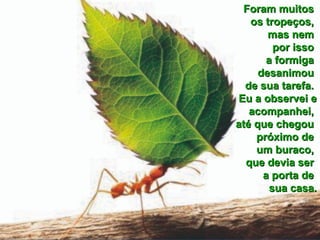 Foram muitosForam muitos
os tropeços,os tropeços,
mas nemmas nem
por issopor isso
a formigaa formiga
desanimoudesanimou
de sua tarefa.de sua tarefa.
Eu a observei eEu a observei e
acompanhei,acompanhei,
até que chegouaté que chegou
próximo depróximo de
um buraco,um buraco,
que devia serque devia ser
a porta dea porta de
sua casa.sua casa.
 