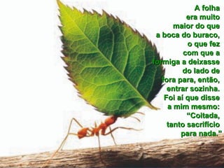 A folhaA folha
era muitoera muito
maior do quemaior do que
a boca do buraco,a boca do buraco,
o que fezo que fez
com que acom que a
formiga a deixasseformiga a deixasse
do lado dedo lado de
fora para, então,fora para, então,
entrar sozinha.entrar sozinha.
Foi aí que disseFoi aí que disse
a mim mesmo:a mim mesmo:
“Coitada,“Coitada,
tanto sacrifíciotanto sacrifício
para nada.”para nada.”
 