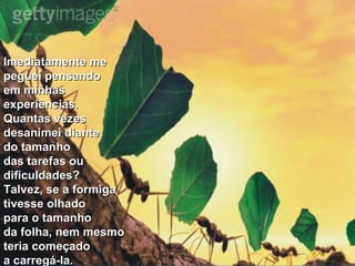 Imediatamente meImediatamente me
peguei pensandopeguei pensando
em minhasem minhas
experiências.experiências.
Quantas vezesQuantas vezes
desanimei diantedesanimei diante
do tamanhodo tamanho
das tarefas oudas tarefas ou
dificuldades?dificuldades?
Talvez, se a formigaTalvez, se a formiga
tivesse olhadotivesse olhado
para o tamanhopara o tamanho
da folha, nem mesmoda folha, nem mesmo
teria começadoteria começado
a carregá-la.a carregá-la.
 