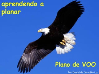 aprendendo a
planar




               Plano de VOO
                  Por Daniel de Carvalho Luz
 