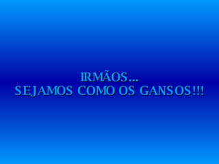 IRMÃOS... SEJAMOS COMO OS GANSOS!!! 