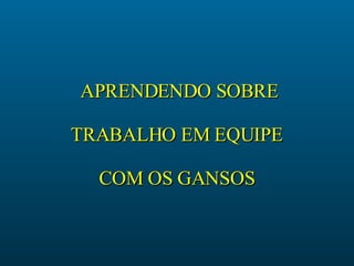 APRENDENDO SOBRE TRABALHO EM EQUIPE COM OS GANSOS 