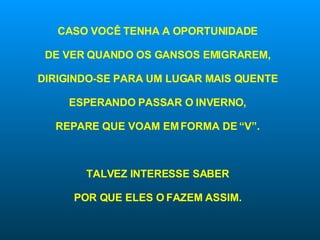 CASO VOCÊ TENHA A OPORTUNIDADE DE VER QUANDO OS GANSOS EMIGRAREM, DIRIGINDO-SE PARA UM LUGAR MAIS QUENTE ESPERANDO PASSAR O INVERNO, REPARE QUE VOAM EM FORMA DE “V”. TALVEZ INTERESSE SABER POR QUE ELES O FAZEM ASSIM. 