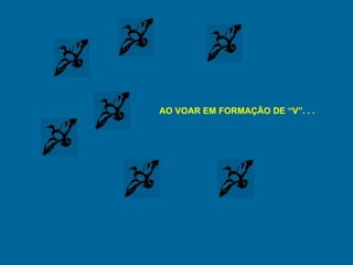 AO VOAR EM FORMAÇÃO DE “V”. . . 