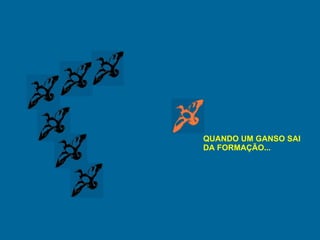 QUANDO UM GANSO SAI  DA FORMAÇÃO... 