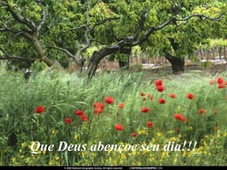 Que Deus abençoe seu dia!!! 