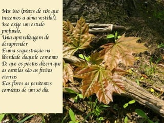 Mas isso (tristes de nós que trazemos a alma vestida!), Isso exige um estudo profundo, Uma aprendizagem de desaprender E uma sequestração na liberdade daquele convento De que os poetas dizem que as estrelas são as freiras eternas E as flores as penitentes convictas de um só dia. 