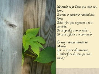 (Louvado seja Deus que não sou bom, E tenho o egoísmo natural das flores E dos rios que seguem o seu caminho Preocupados sem o saber Só com o florir e ir correndo. É essa a única missão no Mundo, Essa – existir claramente, E saber fazê-lo sem pensar nisso.) 