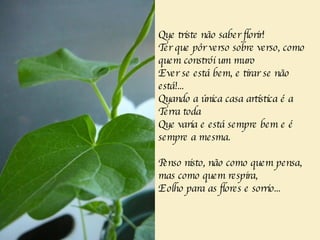Que triste não saber florir! Ter que pôr verso sobre verso, como quem constrói um muro E ver se está bem, e tirar se não está!... Quando a única casa artística é a Terra toda Que varia e está sempre bem e é sempre a mesma. Penso nisto, não como quem pensa, mas como quem respira, E olho para as flores e sorrio... 