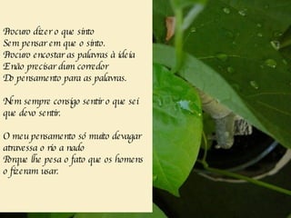 Procuro dizer o que sinto Sem pensar em que o sinto. Procuro encostar as palavras à ideia E não precisar dum corredor Do pensamento para as palavras. Nem sempre consigo sentir o que sei que devo sentir. O meu pensamento só muito devagar atravessa o rio a nado Porque lhe pesa o fato que os homens o fizeram usar. 