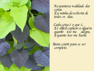 A espantosa realidade das coisas  É a minha descoberta de todos os  dias.  Cada coisa é o que é,  E é difícil explicar a alguém quanto  isso me  alegra,  E quanto isso me basta.        Basta existir para se ser completo.  