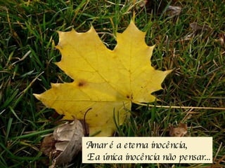   Amar é a eterna inocência,   E a única inocência não pensar... 