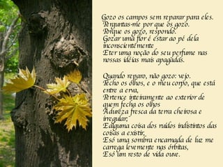 Gozo os campos sem reparar para eles.    Perguntas-me por que os gozo.  Porque os gozo, respondo.  Gozar uma flor é estar ao pé dela inconscientemente  E ter uma noção do seu perfume nas nossas idéias mais apagadas. Quando reparo, não gozo: vejo.  Fecho os olhos, e o meu corpo, que está entre a erva,   Pertence inteiramente ao exterior de quem fecha os olhos   À dureza fresca da terra cheirosa e irregular;  E alguma coisa dos ruídos indistintos das coisas a existir,  E só uma sombra encarnada de luz me carrega levemente nas órbitas,  E só um resto de vida ouve.  