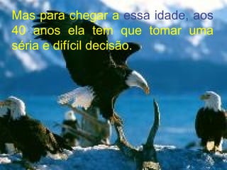 Mas para chegar a  essa idade, aos  40 anos ela tem que tomar uma séria e difícil decisão. 