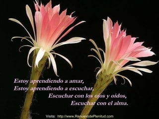 Estoy aprendiendo a amar,  Estoy aprendiendo a escuchar,  Escuchar con los ojos y oídos,  Escuchar con el alma. Visita:  http:// www.RenuevodePlenitud.com 