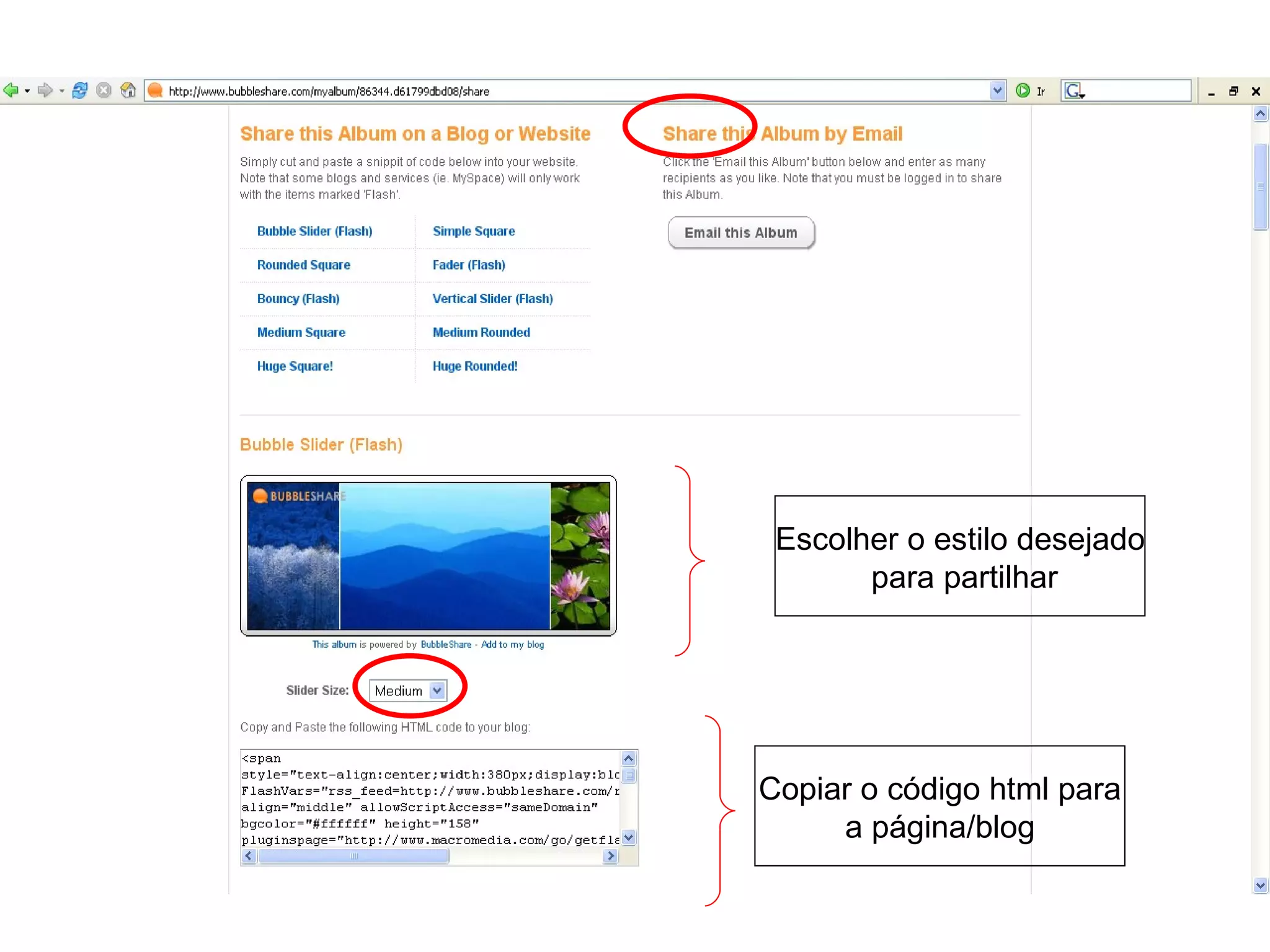 Escolher o estilo desejado para partilhar Copiar o código html para a página/blog 