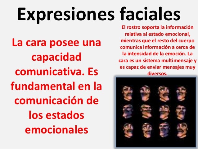 El programa la rejuvenescencia de la persona con el masaje