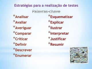 Estratégias para a realização de testes
 