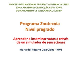Programa Zootecnia
Nivel pregrado
Aprender a inseminar vacas a través
de un simulador de sensaciones
María del Rosario Díaz Olaya - MVZ
UNIVERSIDAD NACIONAL ABIERTA Y A DISTANCIA UNAD
ZONA AMAZONÍA ORINOQUÍA CEAD YOPAL
DEPARTAMENTO DE CASANARE COLOMBIA
 