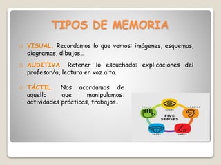 TIPOS DE MEMORIA
o VISUAL. Recordamos lo que vemos: imágenes, esquemas,
diagramas, dibujos…
o AUDITIVA. Retener lo escuchado: explicaciones del
profesor/a, lectura en voz alta.
o TÁCTIL. Nos acordamos de
aquello que manipulamos:
actividades prácticas, trabajos…
 