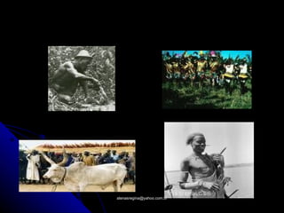 atenasregina@yahoo.com.br
 