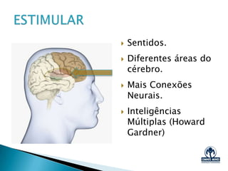 O Processo de Aprendizagem
ESTIMULAR
PROCESSAR
ESTADO MELHOR
Copyright @ 2013 – OMNIS MIND - email: contato@om1.com.br - www.om1.com.br
 