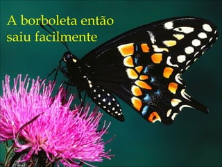 A borboleta então saiu facilmente 