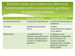 BONNER señala que existen tres diferencias
fundamentales entre la transmisión genética y
la transmisión cultural.
Transmis...