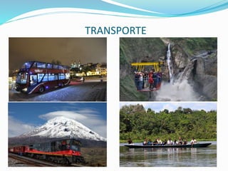 TRANSPORTE
 