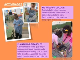 ACTIVIDADES
:                                ME HAGO UN COLLAR:
                                 Trabajo la longitud, porque
                                 necesito saber cómo tiene que
                                 ser de larga la lana para
                                 fabricarme un collar que me
                                 quepa por mi cabeza.




        PLANTAMOS GIRASOLES:
        Calculamos la tierra que tengo
        que comprar para plantar cada
        una de las macetas y que no nos
        falte a nadie. ¿Cuántas macetas
        puedo plantar con un saco de 10
        kilos?
 