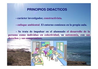 PRINCIPIOS DIDACTICOS

     - carácter investigador, constructivista.

     - enfoque ambiental. El entorno comienza en la propia aula.

      - Se trata de impulsar en el alumnado el desarrollo de la
persona como individuo en colectividad, su autonomía, con sus
derechos y sus compromisos.
 