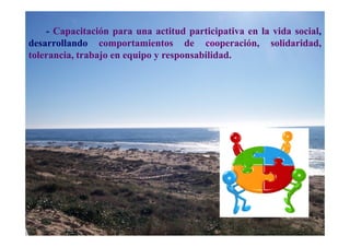 - Capacitación para una actitud participativa en la vida social,
desarrollando comportamientos de cooperación, solidaridad,
tolerancia, trabajo en equipo y responsabilidad.
 